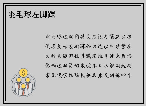 羽毛球左脚踝