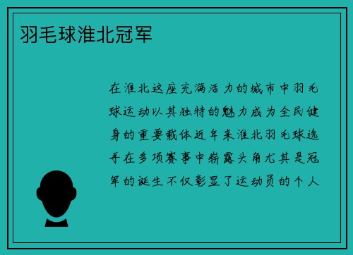 羽毛球淮北冠军