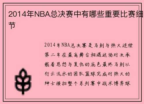 2014年NBA总决赛中有哪些重要比赛细节